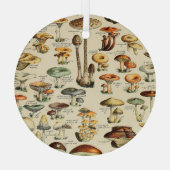 Pilzkollektion Ornament Aus Glas (Rückseite)