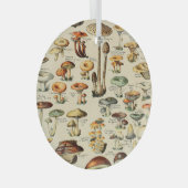 Pilzkollektion Ornament Aus Glas (Vorderseite Rechts)