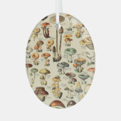 Pilzkollektion Ornament Aus Glas (Vorderseite links)