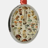 Pilzkollektion Ornament Aus Metall (Rechts)