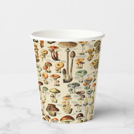 Pilzkollektion Pappbecher (Rückseite)