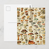 Pilzkollektion Postkarte (Vorne/Hinten)