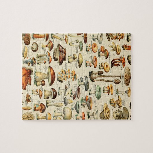 Pilzkollektion Puzzle (Horizontal)