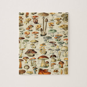 Pilzkollektion Puzzle