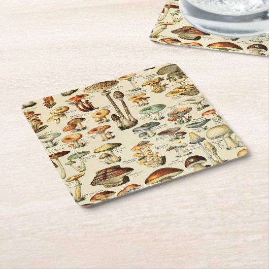 Pilzkollektion  rechteckiger pappuntersetzer (angewinkelt)