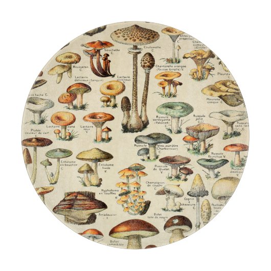 Pilzkollektion schneidebrett (Vorderseite)