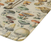 Pilzkollektion    schneidebrett (Ecke)