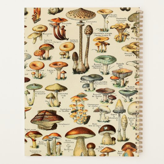 Pilzkollektionsplaner Planer (Rückseite)