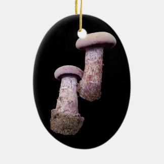 Pilzliebhaber Keramik Ornament