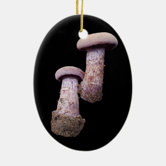 Pilzliebhaber Keramik Ornament (Hinten)