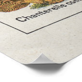 Pilzposter Poster (Ecke)