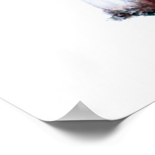 Pilzposter Poster (Ecke)