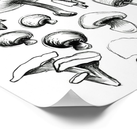 Pilzposter Poster (Ecke)