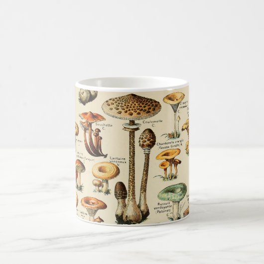 Pilzsammlung  kaffeetasse (Mittel)