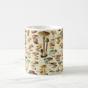 Pilzsammlung kaffeetasse