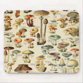 Pilzsammlung Mousepad (Vorne)