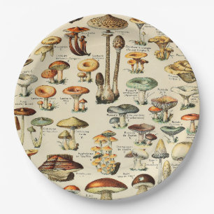 Pilzsammlung Pappteller