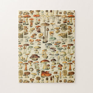 Pilzsammlung puzzle