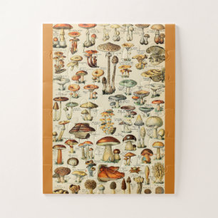 Pilzsammlung Puzzle