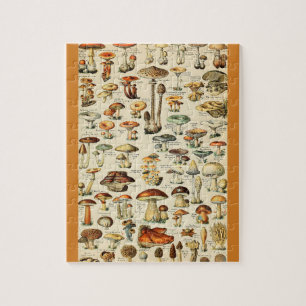 Pilzsammlung Puzzle