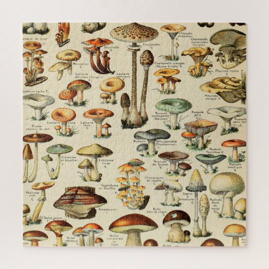 Pilzsammlung Puzzle (Vertikal)