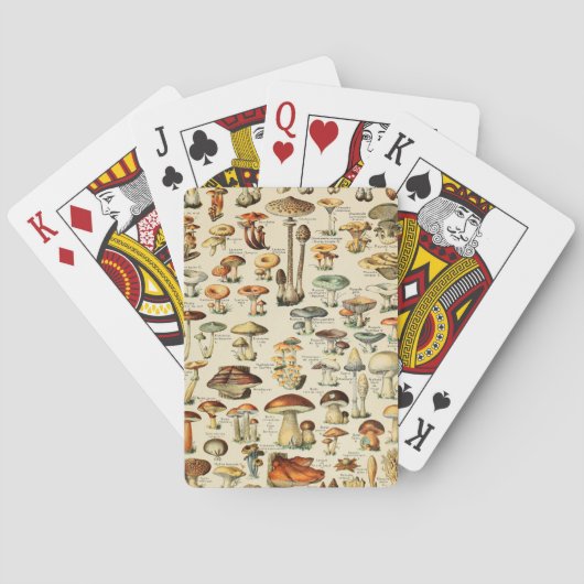 Pilzsammlung Spielkarten (Rückseite)
