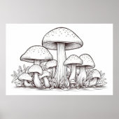 Pilzskizze Poster (Vorne)