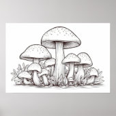 Pilzskizze Poster (Vorne)