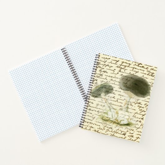 Pilzskizze verblassten Text bedrückt boho Notizblock (Innenseite)