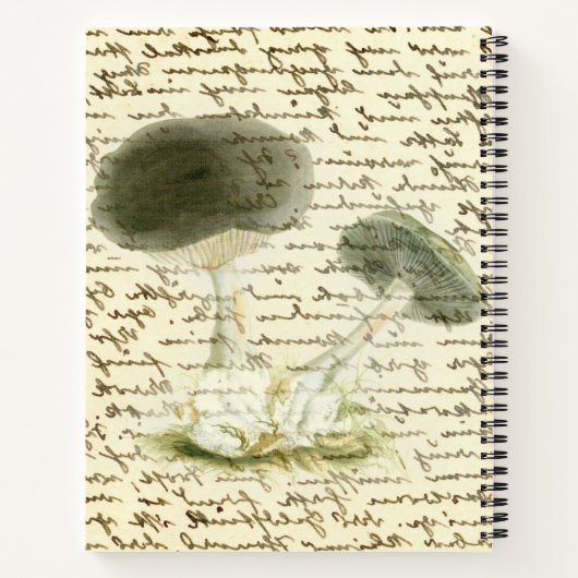 Pilzskizze verblassten Text bedrückt boho Notizblock (Rückseite)