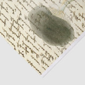 Pilzskizze verblassten Text bedrückt boho Seidenpapier (Ausschnitt)