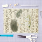 Pilzskizze verblassten Text bedrückt boho Seidenpapier (Handwerk)