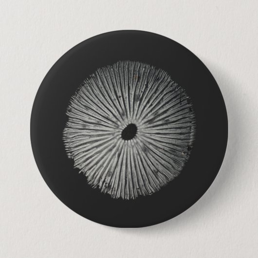 Pilzspinne Button (Vorderseite)