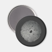 Pilzspinnmagnet Magnet (Vorderseite/Rückseite)