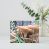 Pilzwaldkarte Postkarte (Stehend Vorderseite)