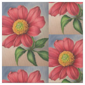 Pima Cottan Stoff (Nahaufnahme)