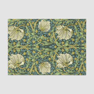Pimpernel, Unendlichkeit Punkte nach William Morri Seidenpapier