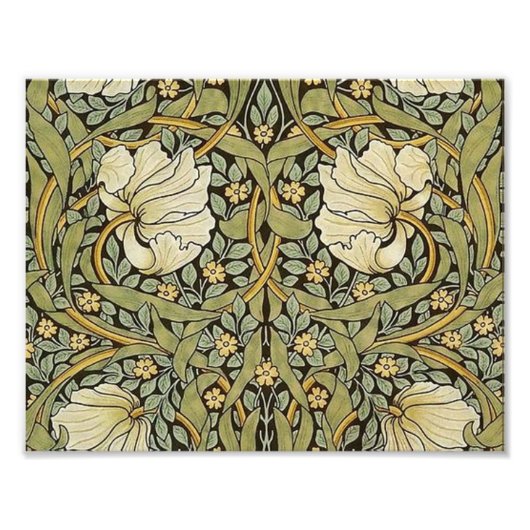 Pimpernel William Morris Fotodruck (Vorne)