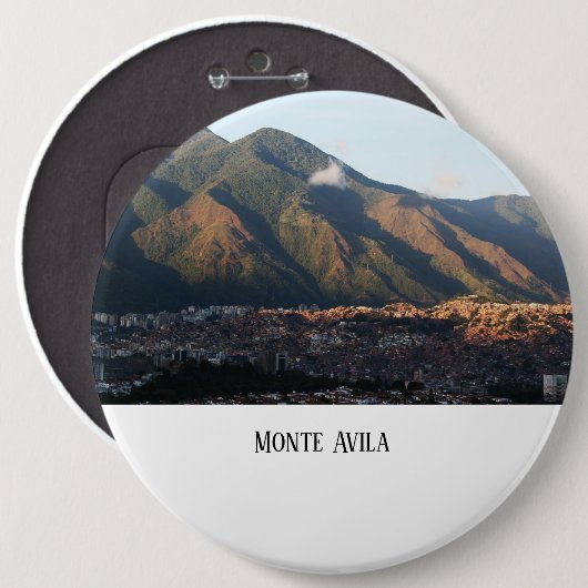 pin button (Vorne & Hinten)