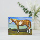 Pin/Paint Horse Postkarte (Stehend Vorderseite)