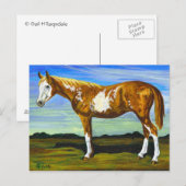 Pin/Paint Horse Postkarte (Vorne/Hinten)