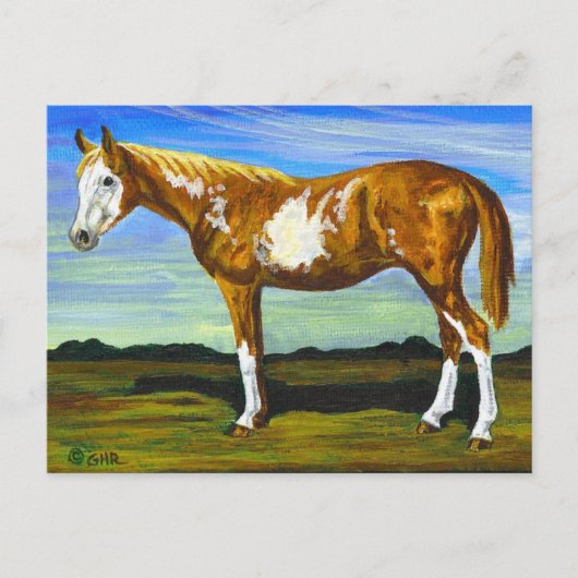 Pin/Paint Horse Postkarte (Vorderseite)