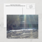 Pinal Creek Postkarte (Vorne/Hinten)