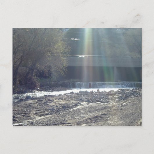 Pinal Creek Postkarte (Vorderseite)