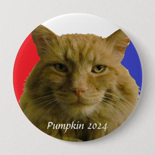Pinback Button für die Kampagne Pumpkin 2024 (Vorderseite)