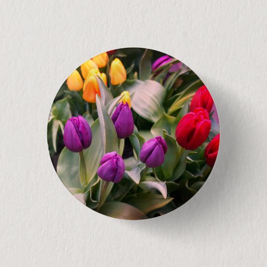 Pinback-Button (rot, gelb und Lila) Button (Vorderseite)