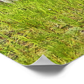 Pincher Creek Alberta Poster (Ecke)