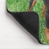 pincher_smaller mousepad (Ecke)