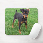 pincher_smaller mousepad (Mit Mouse)