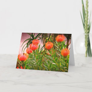 Pincushion Tango #1 Karte